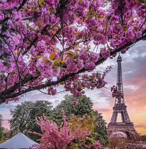 2sBB5HN5crozd3fTAM2w.jpg?w=940&h=940