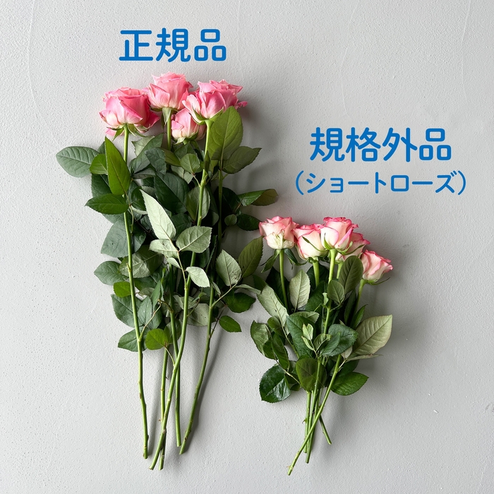 正規品と規格外品