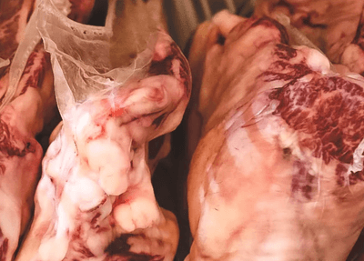 2vKXxuIxoGaXnUztqc6I.png?w=940&h=940