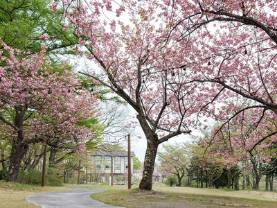 2vh6ngkCESzzHx1f9gVi.jpg?w=940&h=940