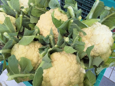 2vkIUX1fjjmxtjZqopk3.jpg?w=940&h=940