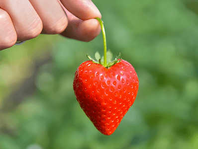 2wPF5PlWHk6qvr7riXQU.png?w=940&h=940