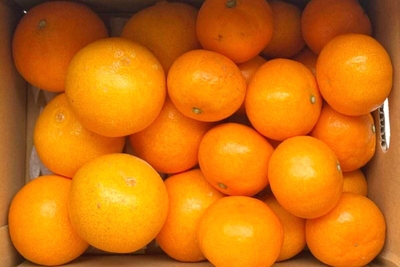 2xCft7FRGyGqBuuwJ2zK.jpg?w=940&h=940