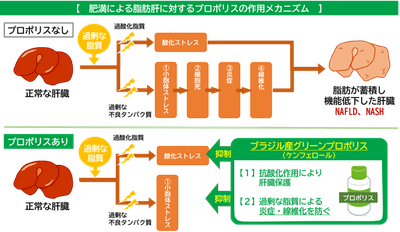 2xHOFQzPgRDE5Tf6Y6tL.png?w=940&h=940