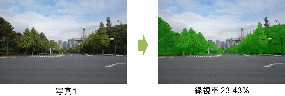 図1 緑視率:人の視野(写真で代替)に占める緑の割合