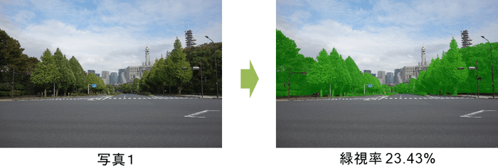 図1 緑視率:人の視野(写真で代替)に占める緑の割合