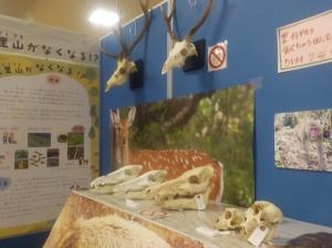 31EAmviRahm1StKG7vi6.jpg?w=940&h=940