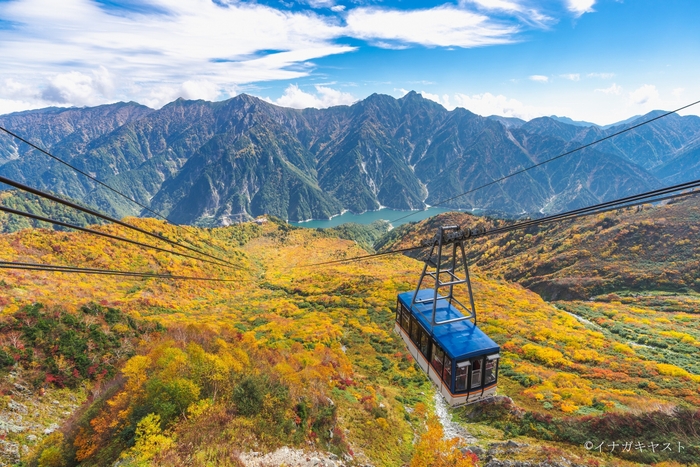 人気の紅葉スポット・大観峰~黒部平