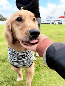 32ZanJAZ1BVOMvlDNCZv.jpg?w=940&h=940