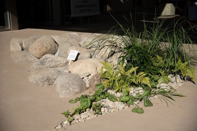 33Hi8IWunYkiO3bapwL8.jpg?w=940&h=940