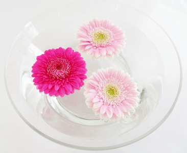 33VF3v6eiGSq29BuQPnA.png?w=940&h=940