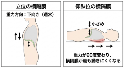 351v7OCFsmt87QIX5sjN.png?w=940&h=940