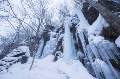 353ylN01iZQ9JOxMZG2O.jpg?w=940&h=940