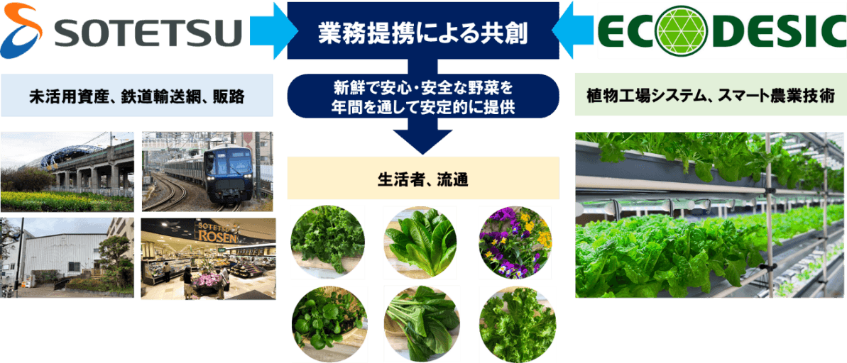 都市型地産地消植物工場の実証事業を開始【相鉄ホールディングス・エコデシック】