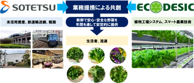 都市型地産地消植物工場の実証事業を開始【相鉄ホールディングス・エコデシック】