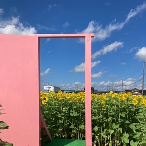 どこにでもドア出現⁈