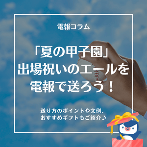 36QZ6pg46rj9LElv3JNr.png?w=940&h=940