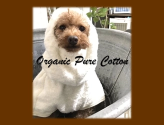 お家でシャンプー🐶着てかわいい！お肌に優しいペット用バスローブ