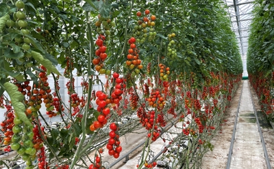 37avDZiUwkf1rNckgky4.jpg?w=940&h=940