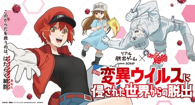 37nw2XOVKS5LQsQqn85B.jpg?w=940&h=940