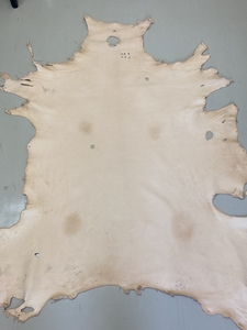 37zcMi06IcBtUGjYap79.JPG?w=940&h=940