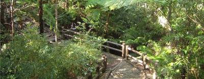 38fRB7aFHXkzArXaF21L.jpg?w=940&h=940