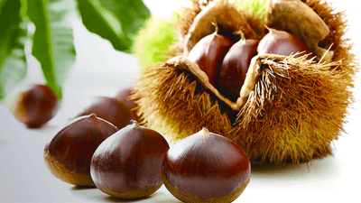 3APdekPz26M1jIInx7WM.png?w=940&h=940