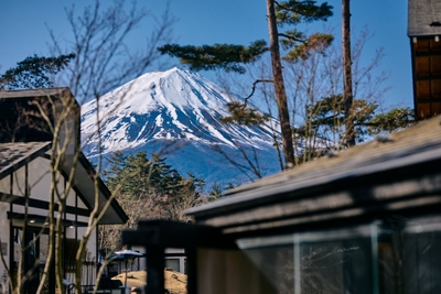 3BNMzxmaxp5r5EVqVlfI.jpg?w=940&h=940