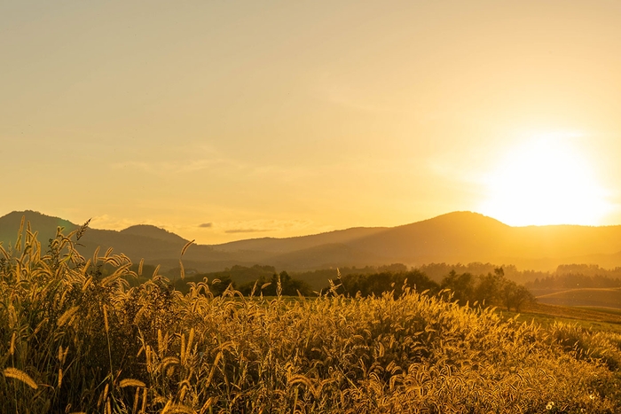 あたたかい時間