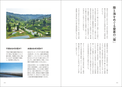 3CdsT4DKoH0QETdhl4M2.png?w=940&h=940