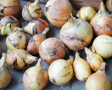 3D6GBCwEDrQIeqhGWYkH.jpg?w=940&h=940