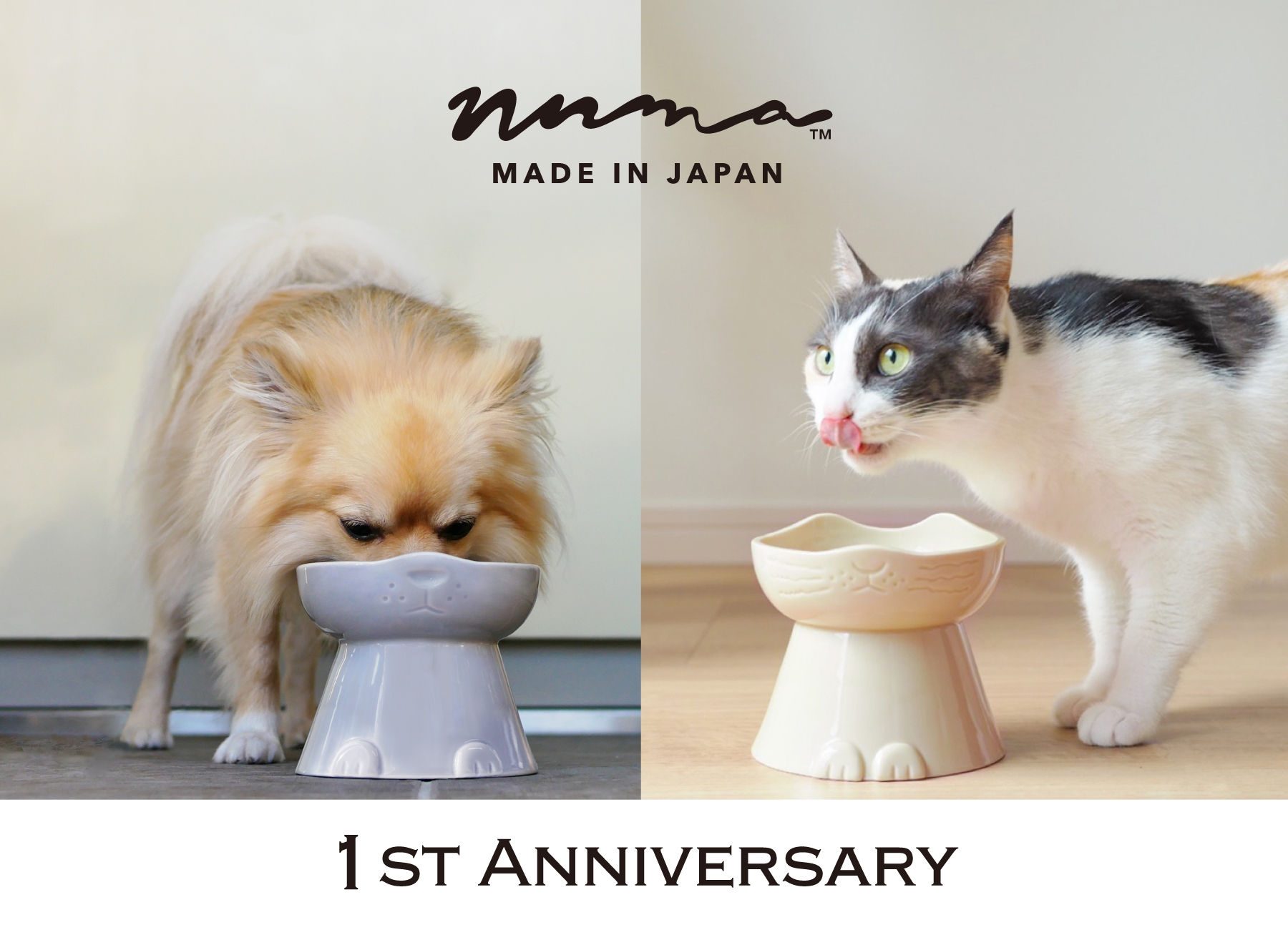 ペット好きが理想をカタチにした猫・犬用フードボウル 「nnma」1周年を