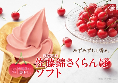 佐藤錦さくらんぼソフトイメージ画像