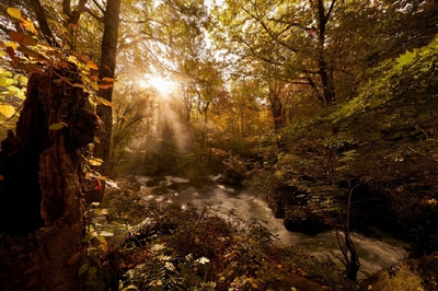 3EO6Cj4Z5j6MG4Zg5F0s.jpg?w=940&h=940