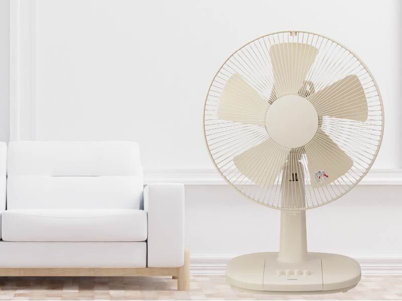 ベージュ/YT-3011F(LC)