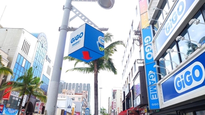 スカイキューブビジョン