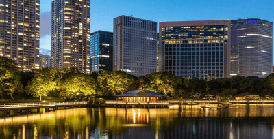 過去のライトアップの様子