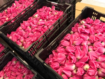 3GgM9yhvbL9nEYThPlyY.jpg?w=940&h=940