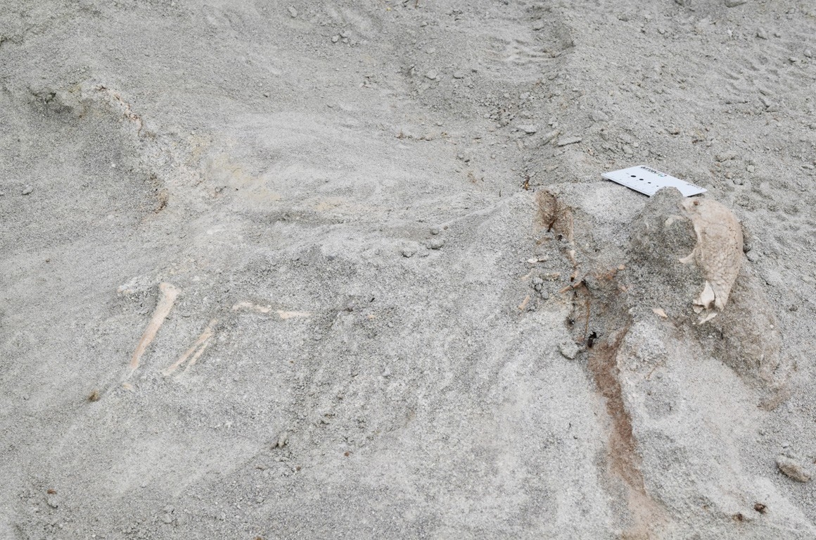 ザヴァケファレの産出現場=研究グループ提供