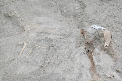 ザヴァケファレの産出現場＝研究グループ提供