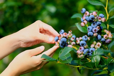 3KKmesL10pm8cSXkiXFM.jpg?w=940&h=940