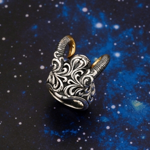 3KcxgS04cX1Xx1ayNDJs.jpg?w=940&h=940