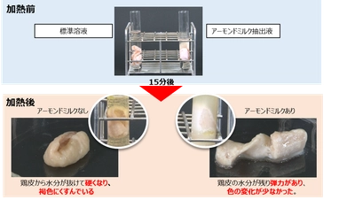 春は紫外線で「糖化」によるくすみが促進される季節　 アーモンドミルクの抗糖化作用を実験により検証　 くすみ対策にはアーモンドミルクが効果的！