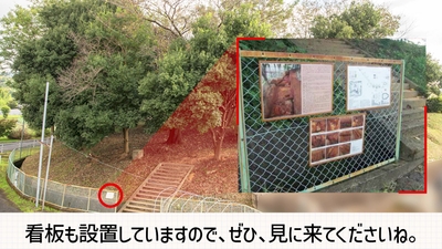 3LLFBNMa26CJzjQyJLT6.jpg?w=940&h=940