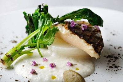 3NVJN9TerWp8HU4jvwpj.jpg?w=940&h=940