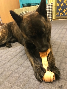 3PRBC9xxXyr8mZETLb6H.jpeg?w=940&h=940