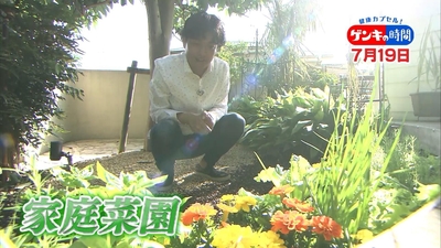 3PaYuc5vkkwJMQkseEJo.jpg?w=940&h=940