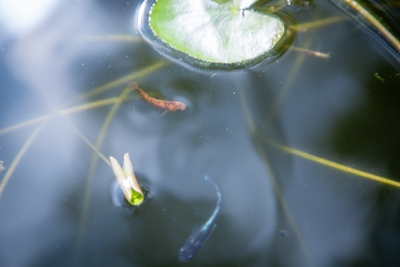 3Q5l7uHvIQdEEwncyeAj.jpg?w=940&h=940