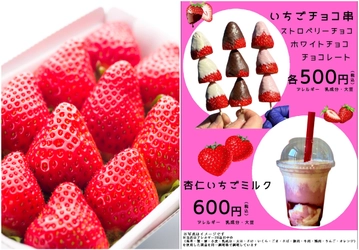 山梨フルーツのテーマパーク道の駅なんぶで苺づくしの スプリングフェス「苺一会」を3/28・29・30の3日間開催　