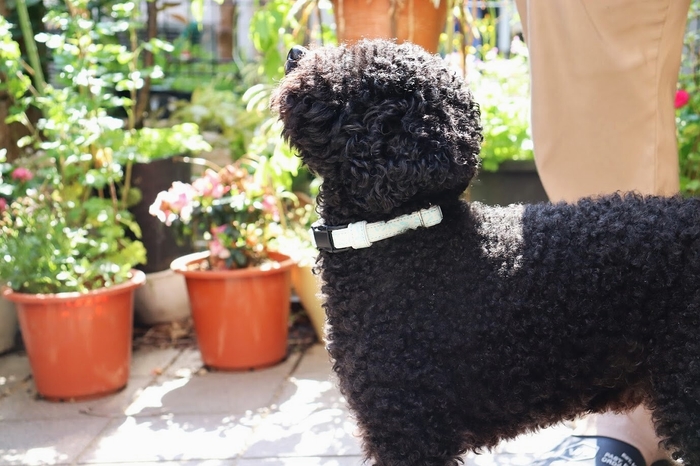 日中着用イメージ